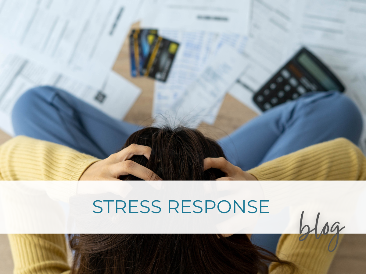 Your Body’s Stress Response